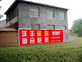  延长如何让墙体广告展现最大化效果
