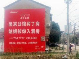  延长墙体广告在乡镇、农村市场的媒体优势